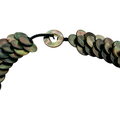 Close-up of abalone shell disc details
