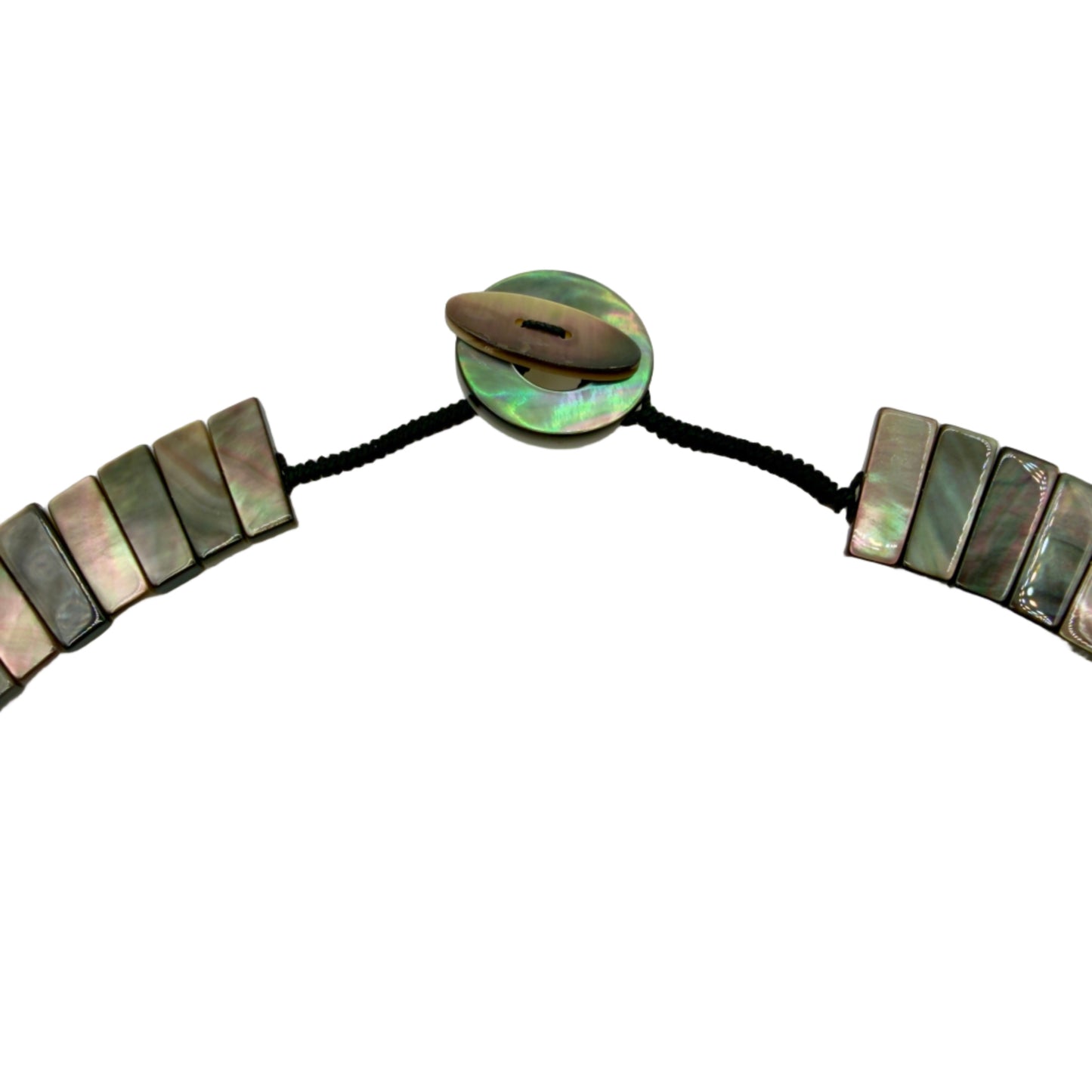 Close-up of abalone shell segment details
