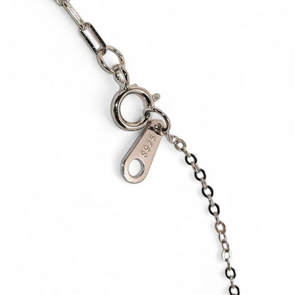 Close-up of a silver chain necklace with clasp on a white background